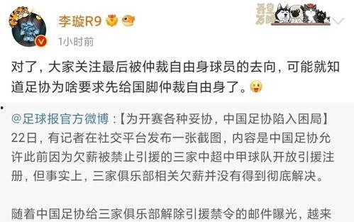 李璇爆料陈戌源视频播放,真相与争议并存 第1张 李璇爆料陈戌源视频播放,真相与争议并存 第1张